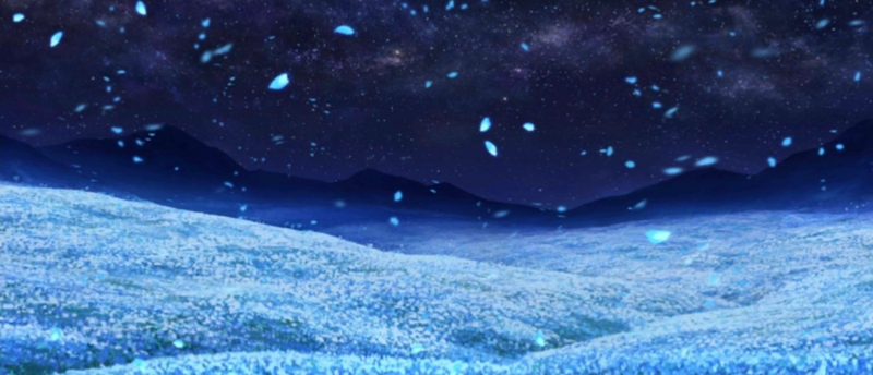 Файл:Reverse Side FGO.png