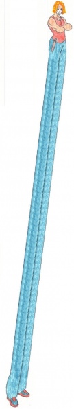 Файл:Falong.L3.jpg