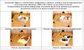 Bredologia-8.jpg