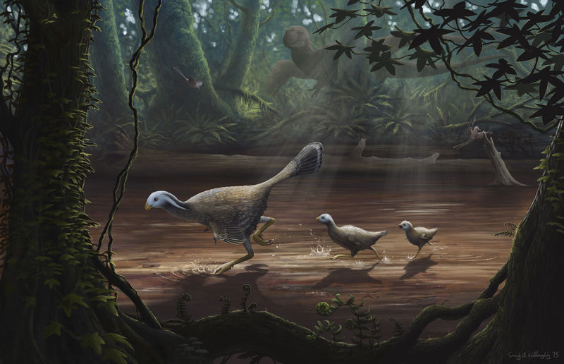 Файл:Caudipteryx-with-chicks.jpg