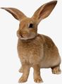 Миниатюра для версии от 23:44, 23 мая 2020