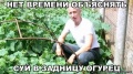 Миниатюра для версии от 15:38, 15 октября 2015