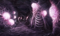 InsideEchidna.png