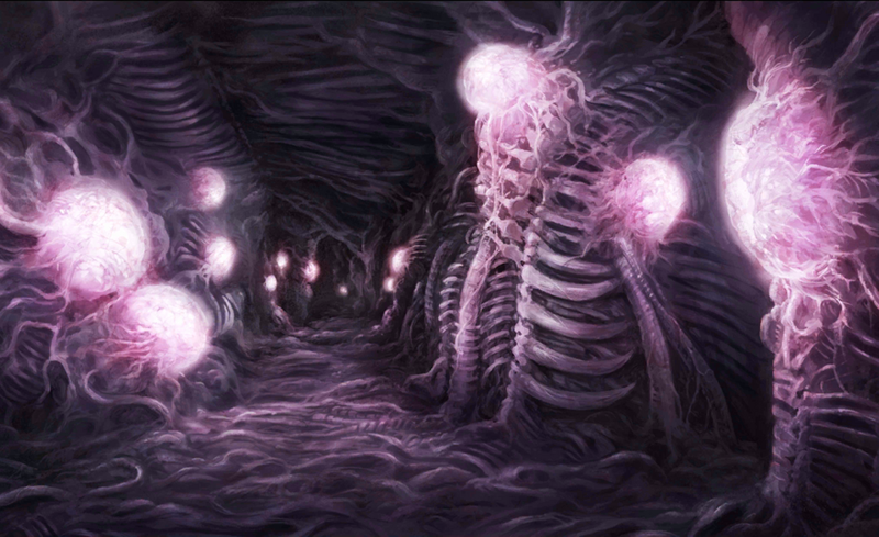 Файл:InsideEchidna.png